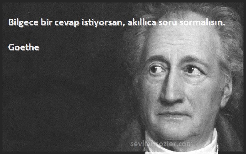 Goethe - Bilgece bir cevap istiyorsan, akıllıca soru sormalısın.
