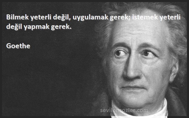 Goethe - Bilmek yeterli değil, uygulamak gerek; istemek yeterli değil yapmak gerek.
