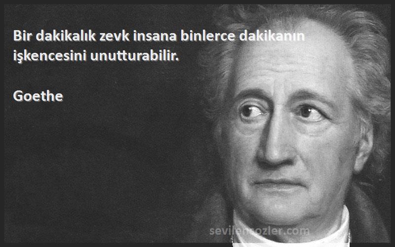 Goethe - Bir dakikalık zevk insana binlerce dakikanın işkencesini unutturabilir.
