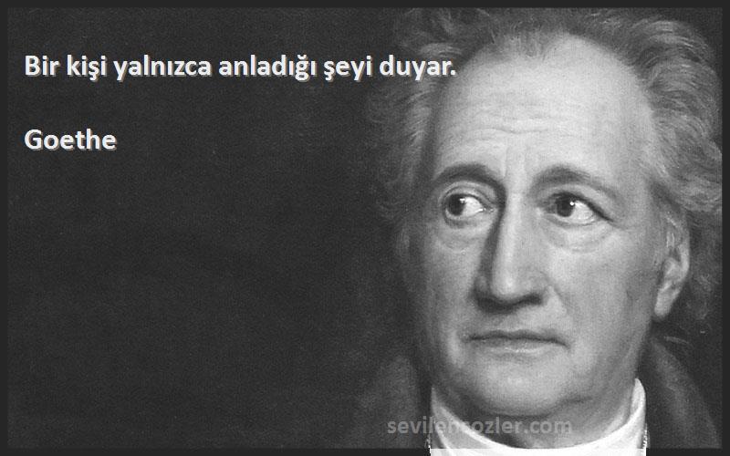 Goethe Sözleri 
Bir kişi yalnızca anladığı şeyi duyar.
