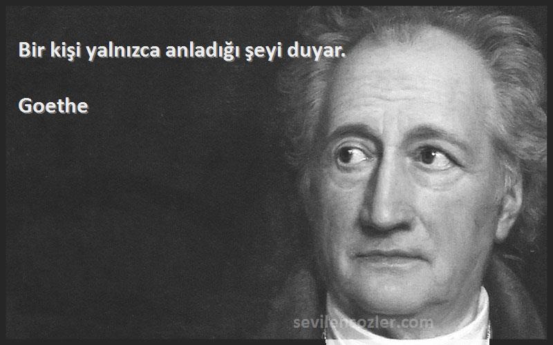 Goethe - Bir kişi yalnızca anladığı şeyi duyar.
