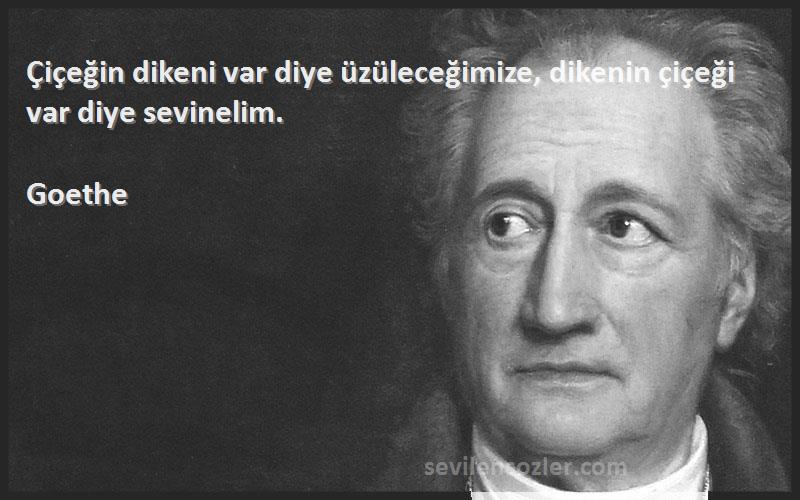 Goethe - Çiçeğin dikeni var diye üzüleceğimize, dikenin çiçeği var diye sevinelim.

