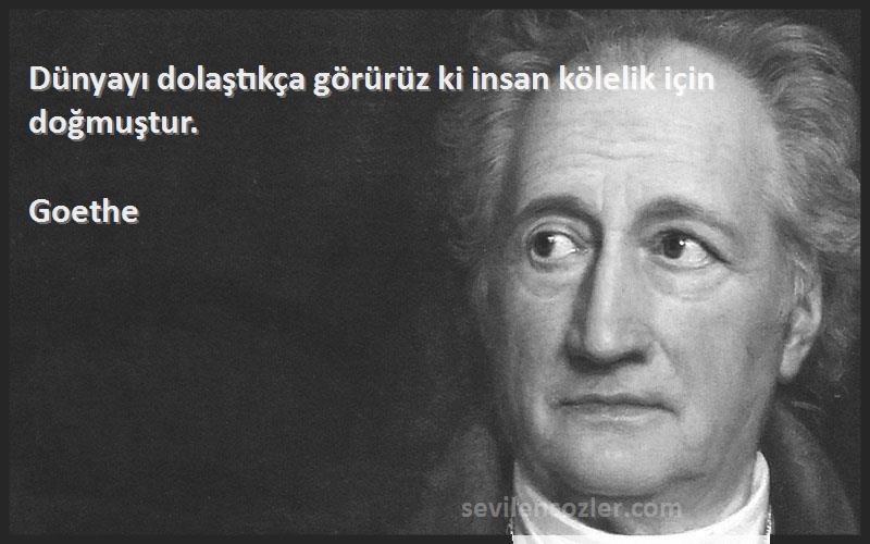 Goethe Sözleri 
Dünyayı dolaştıkça görürüz ki insan kölelik için doğmuştur.
