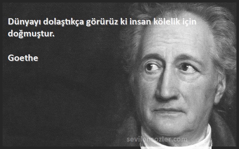 Goethe - Dünyayı dolaştıkça görürüz ki insan kölelik için doğmuştur.
