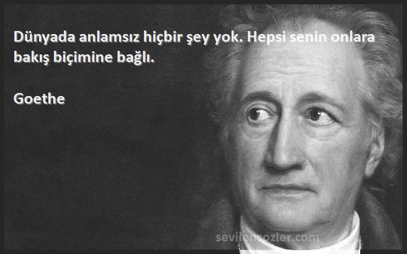 Goethe - Dünyada anlamsız hiçbir şey yok. Hepsi senin onlara bakış biçimine bağlı.
