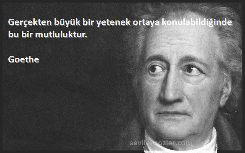 Goethe - Gerçekten büyük bir yetenek ortaya konulabildiğinde bu bir mutluluktur.
