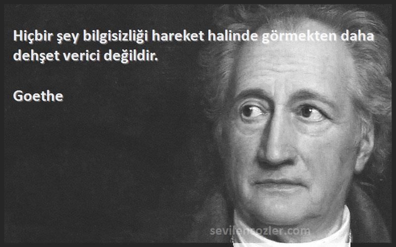 Goethe - Hiçbir şey bilgisizliği hareket halinde görmekten daha dehşet verici değildir.
