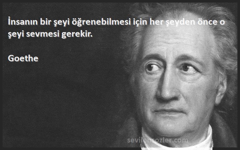 Goethe - İnsanın bir şeyi öğrenebilmesi için her şeyden önce o şeyi sevmesi gerekir.
