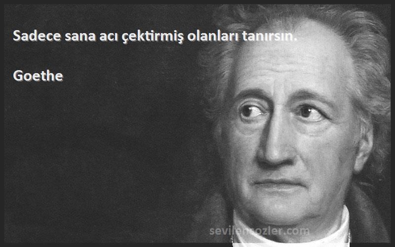 Goethe Sözleri 
Sadece sana acı çektirmiş olanları tanırsın.
