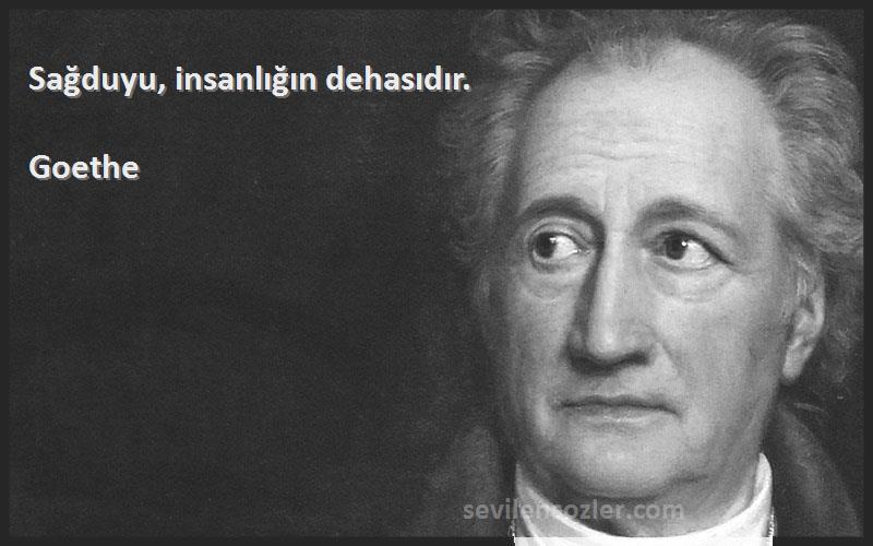 Goethe Sözleri 
Sağduyu, insanlığın dehasıdır.
