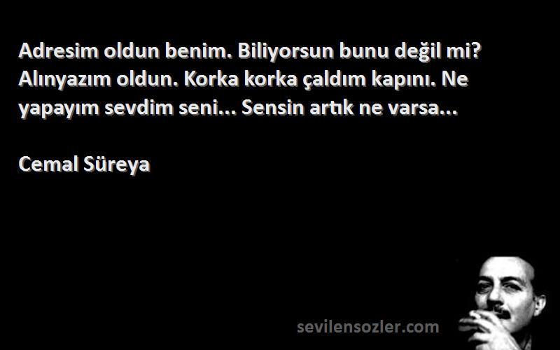 Cemal Süreya Sözleri 
Adresim oldun benim. Biliyorsun bunu değil mi? Alınyazım oldun. Korka korka çaldım kapını. Ne yapayım sevdim seni... Sensin artık ne varsa...
