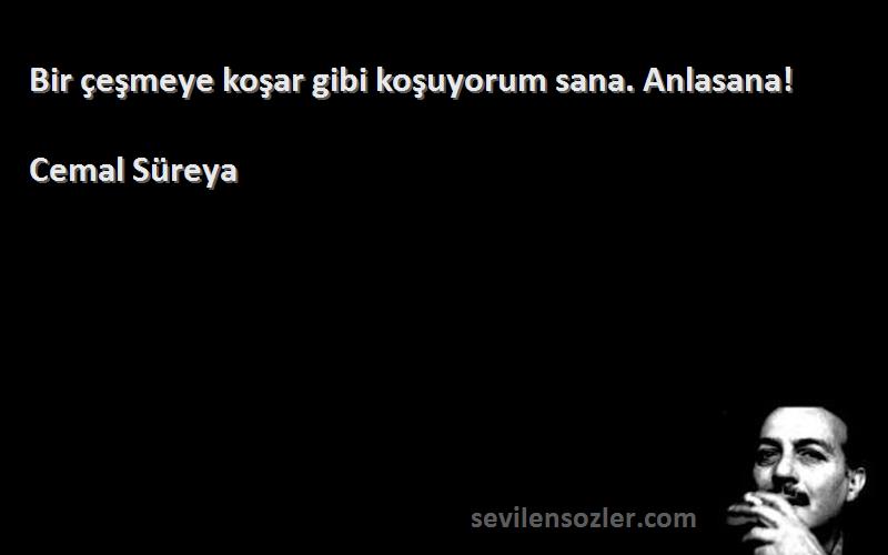 Cemal Süreya - Bir çeşmeye koşar gibi koşuyorum sana. Anlasana!
