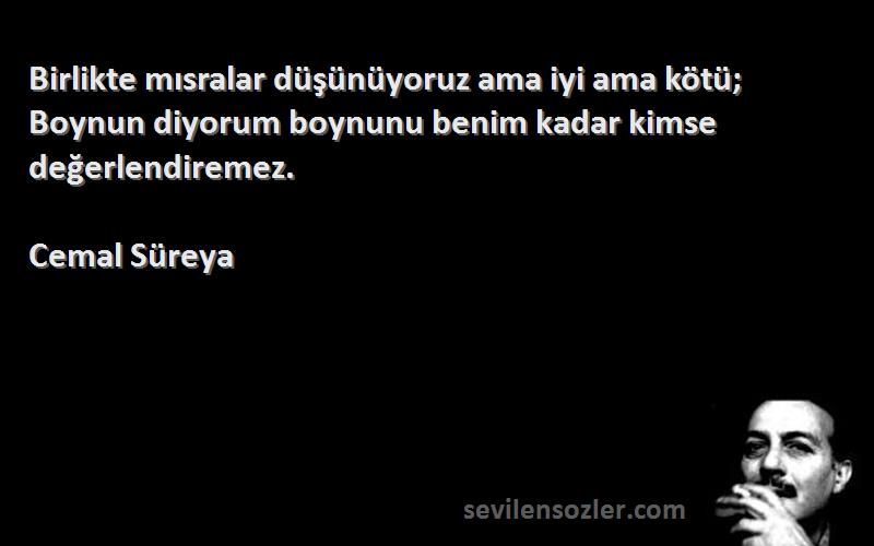 Cemal Süreya Sözleri 
Birlikte mısralar düşünüyoruz ama iyi ama kötü; Boynun diyorum boynunu benim kadar kimse değerlendiremez.
