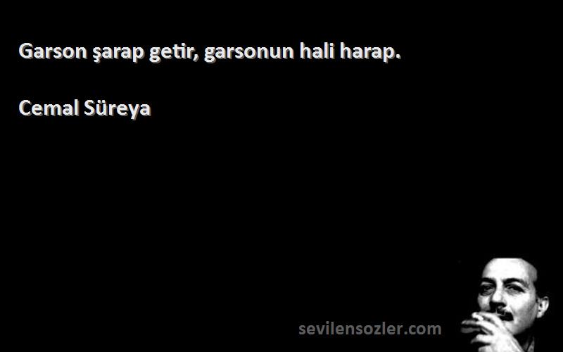 Cemal Süreya Sözleri 
Garson şarap getir, garsonun hali harap.
