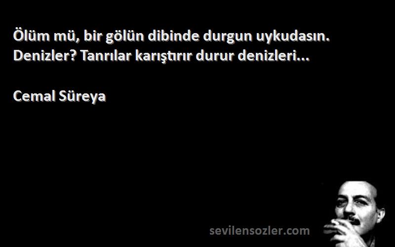 Cemal Süreya Sözleri 
Ölüm mü, bir gölün dibinde durgun uykudasın. Denizler? Tanrılar karıştırır durur denizleri...
