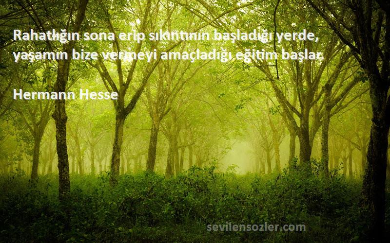 Hermann Hesse Sözleri 
Rahatlığın sona erip sıkıntının başladığı yerde, yaşamın bize vermeyi amaçladığı eğitim başlar.

