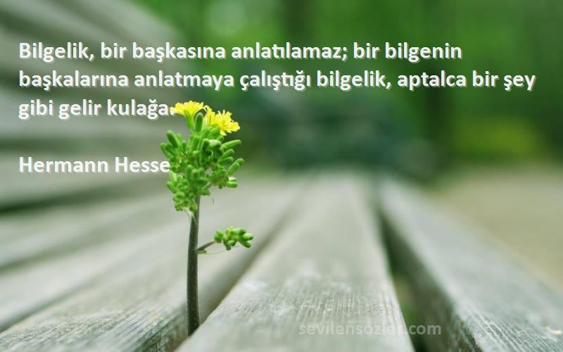Hermann Hesse Sözleri 
Bilgelik, bir başkasına anlatılamaz; bir bilgenin başkalarına anlatmaya çalıştığı bilgelik, aptalca bir şey gibi gelir kulağa.
