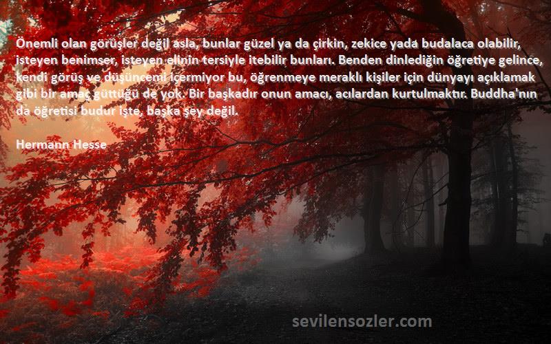 Hermann Hesse Sözleri 
Önemli olan görüşler değil asla, bunlar güzel ya da çirkin, zekice yada budalaca olabilir, isteyen benimser, isteyen elinin tersiyle itebilir bunları. Benden dinlediğin öğretiye gelince, kendi görüş ve düşüncemi içermiyor bu, öğrenmeye meraklı kişiler için dünyayı açıklamak gibi bir amaç güttüğü de yok. Bir başkadır onun amacı, acılardan kurtulmaktır. Buddha'nın da öğretisi budur işte, başka şey değil.  

