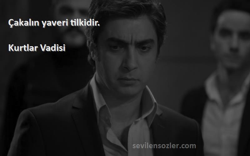 Kurtlar Vadisi - Çakalın yaveri tilkidir.
