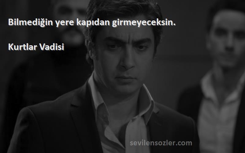 Kurtlar Vadisi - Bilmediğin yere kapıdan girmeyeceksin.
