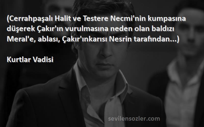 Kurtlar Vadisi Sözleri 
(Cerrahpaşalı Halit ve Testere Necmi'nin kumpasına düşerek Çakır'ın vurulmasına neden olan baldızı Meral'e, ablası, Çakır'ınkarısı Nesrin tarafından...)
