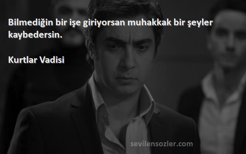 Kurtlar Vadisi - Bilmediğin bir işe giriyorsan muhakkak bir şeyler kaybedersin.
