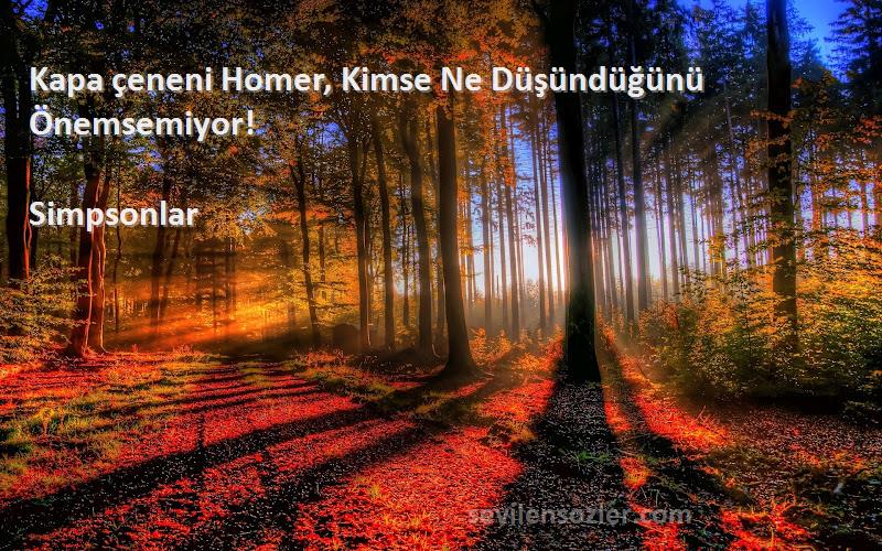 Simpsonlar - Kapa çeneni Homer, Kimse Ne Düşündüğünü Önemsemiyor!

