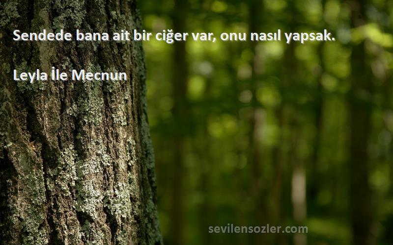Leyla İle Mecnun - Sendede bana ait bir ciğer var, onu nasıl yapsak.
