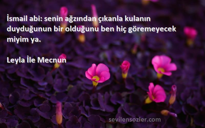 Leyla İle Mecnun - İsmail abi: senin ağzından çıkanla kulanın duyduğunun bir olduğunu ben hiç göremeyecek miyim ya.
