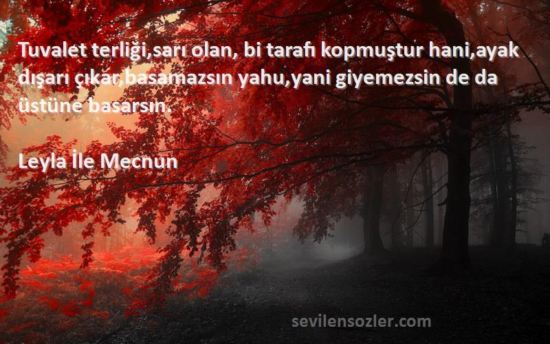 Leyla İle Mecnun Sözleri 
Tuvalet terliği,sarı olan, bi tarafı kopmuştur hani,ayak dışarı çıkar,basamazsın yahu,yani giyemezsin de da üstüne basarsın.
