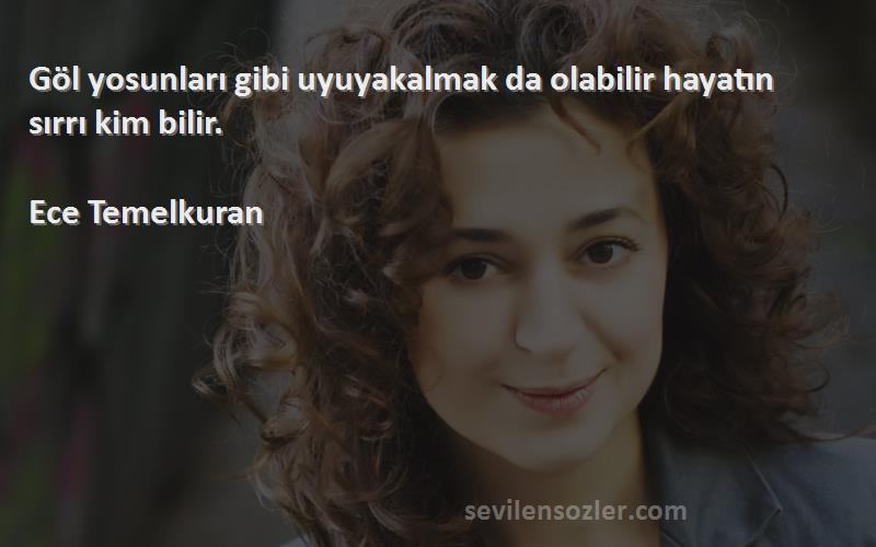Ece Temelkuran - Göl yosunları gibi uyuyakalmak da olabilir hayatın sırrı kim bilir.

