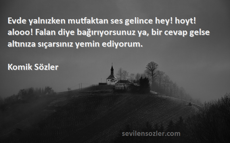 Komik Sözler Sözleri 
Evde yalnızken mutfaktan ses gelince hey! hoyt! alooo! Falan diye bağırıyorsunuz ya, bir cevap gelse altınıza sıçarsınız yemin ediyorum.
