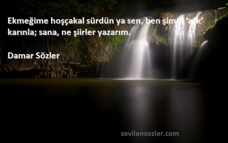 Damar Sözler Sözleri 
Ekmeğime hoşçakal sürdün ya sen, ben şimdi ‘aşk’ karınla; sana, ne şiirler yazarım.
