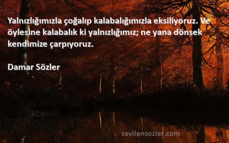 Damar Sözler Sözleri 
Yalnızlığımızla çoğalıp kalabalığımızla eksiliyoruz. Ve öylesine kalabalık ki yalnızlığımız; ne yana dönsek kendimize çarpıyoruz.
