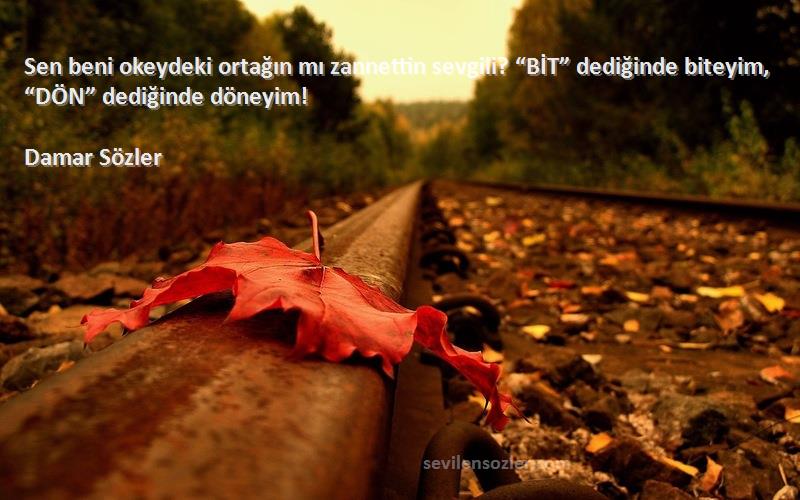 Damar Sözler - Sen beni okeydeki ortağın mı zannettin sevgili? “BİT” dediğinde biteyim, “DÖN” dediğinde döneyim!

