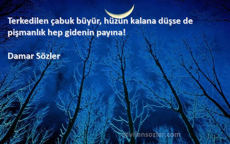Damar Sözler - Terkedilen çabuk büyür, hüzün kalana düşse de pişmanlık hep gidenin payına! 

