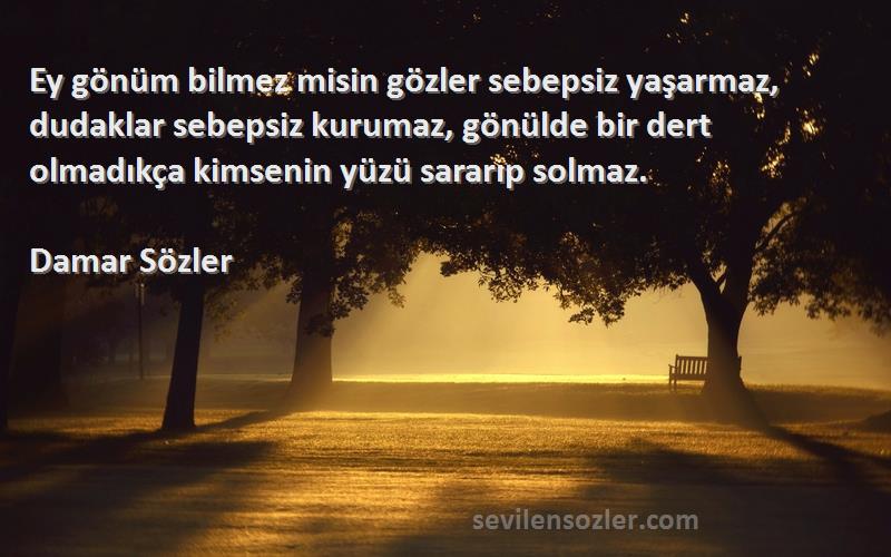 Damar Sözler Sözleri 
Ey gönüm bilmez misin gözler sebepsiz yaşarmaz, dudaklar sebepsiz kurumaz, gönülde bir dert olmadıkça kimsenin yüzü sararıp solmaz.
