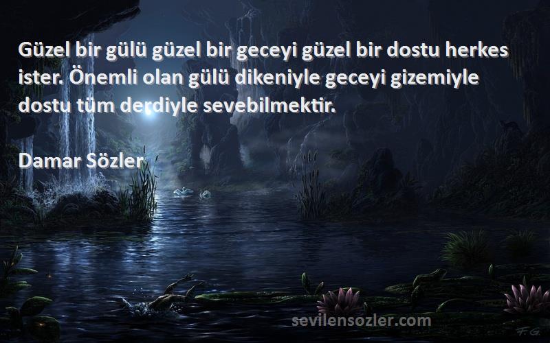 Damar Sözler Sözleri 
Güzel bir gülü güzel bir geceyi güzel bir dostu herkes ister. Önemli olan gülü dikeniyle geceyi gizemiyle dostu tüm derdiyle sevebilmektir.
