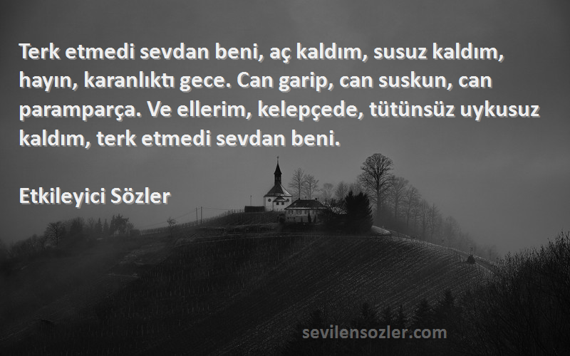 Etkileyici Sözler Sözleri 
Terk etmedi sevdan beni, aç kaldım, susuz kaldım, hayın, karanlıktı gece. Can garip, can suskun, can paramparça. Ve ellerim, kelepçede, tütünsüz uykusuz kaldım, terk etmedi sevdan beni. 
