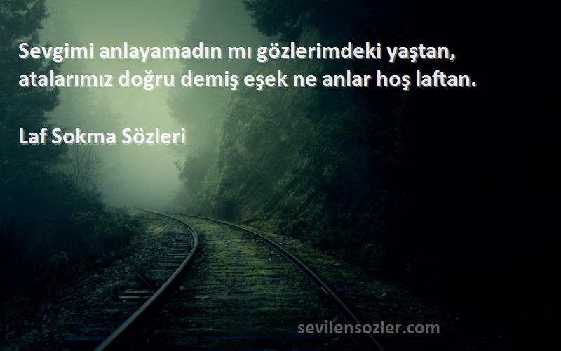 Laf Sokma  - Sevgimi anlayamadın mı gözlerimdeki yaştan, atalarımız doğru demiş eşek ne anlar hoş laftan.
