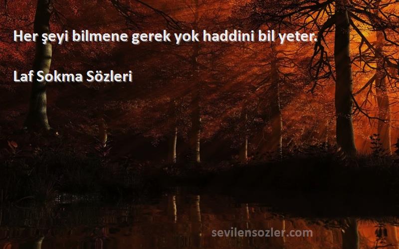 Laf Sokma  - Her şeyi bilmene gerek yok haddini bil yeter.
