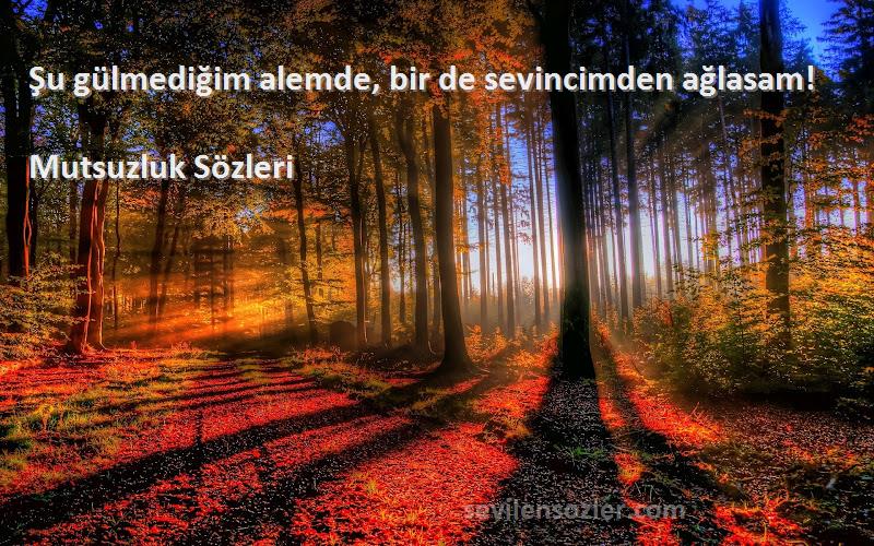 Mutsuzluk  - Şu gülmediğim alemde, bir de sevincimden ağlasam!
