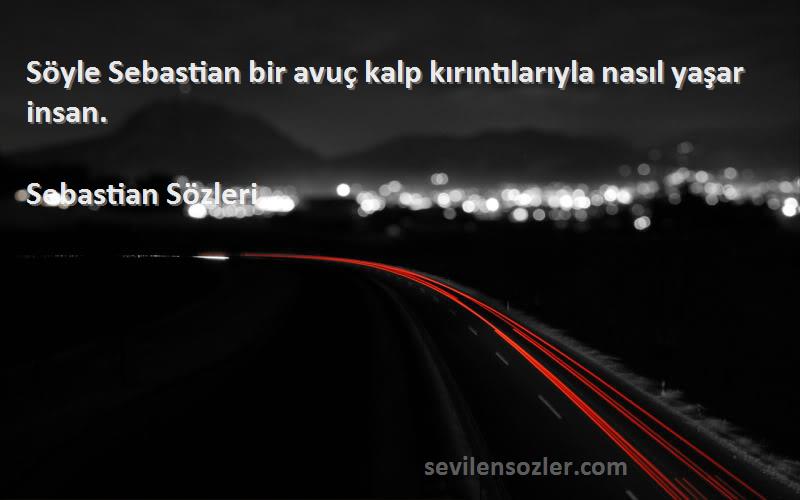 Sebastian  - Söyle Sebastian bir avuç kalp kırıntılarıyla nasıl yaşar insan.
