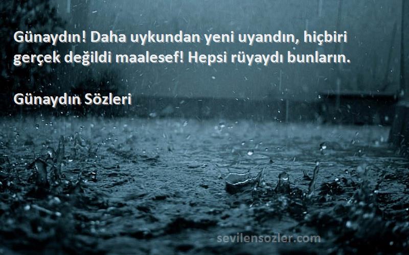 Günaydın  - Günaydın! Daha uykundan yeni uyandın, hiçbiri gerçek değildi maalesef! Hepsi rüyaydı bunların.
