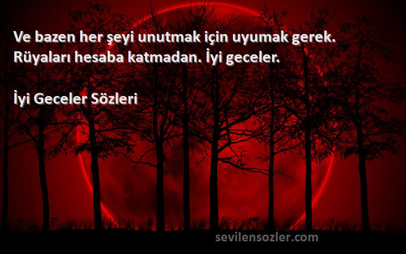 İyi Geceler  - Ve bazen her şeyi unutmak için uyumak gerek. Rüyaları hesaba katmadan. İyi geceler.
