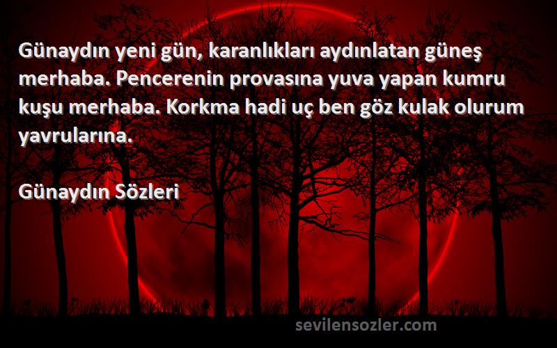 Günaydın  Sözleri 
Günaydın yeni gün, karanlıkları aydınlatan güneş merhaba. Pencerenin provasına yuva yapan kumru kuşu merhaba. Korkma hadi uç ben göz kulak olurum yavrularına.
