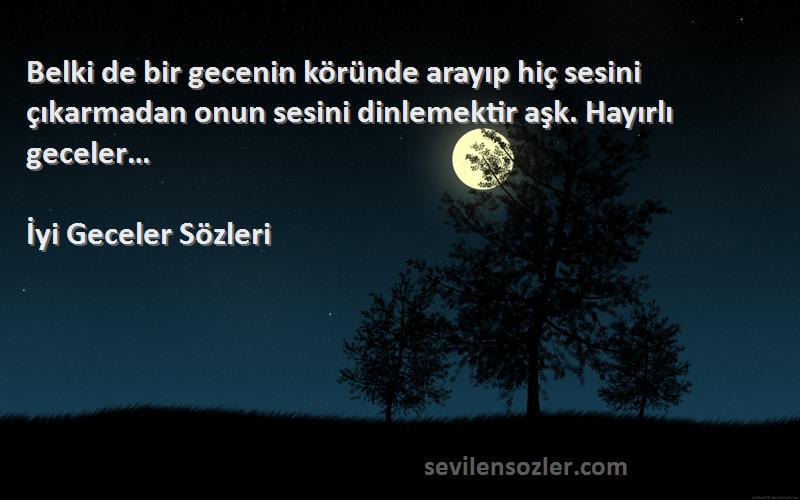 İyi Geceler  Sözleri 
Belki de bir gecenin köründe arayıp hiç sesini çıkarmadan onun sesini dinlemektir aşk. Hayırlı geceler…
