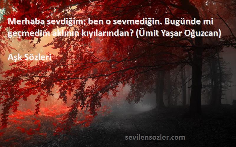 Aşk  - Merhaba sevdiğim; ben o sevmediğin. Bugünde mi geçmedim aklının kıyılarından? (Ümit Yaşar Oğuzcan)
...