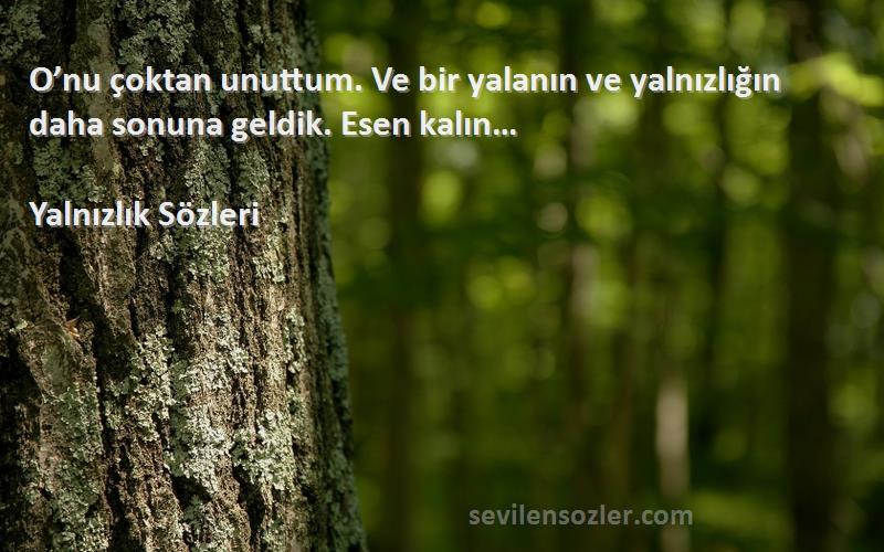Yalnızlık  - O’nu çoktan unuttum. Ve bir yalanın ve yalnızlığın daha sonuna geldik. Esen kalın…
