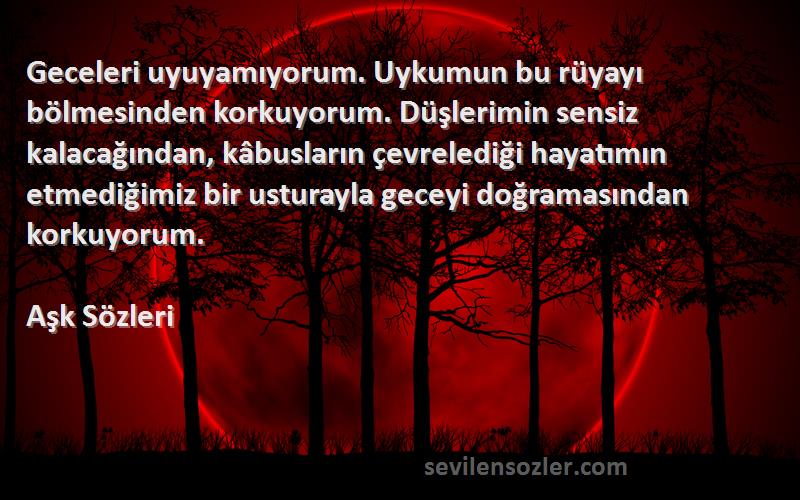 Aşk  Sözleri 
Geceleri uyuyamıyorum. Uykumun bu rüyayı bölmesinden korkuyorum. Düşlerimin sensiz kalacağından, kâbusların çevrelediği hayatımın etmediğimiz bir usturayla geceyi doğramasından korkuyorum.
